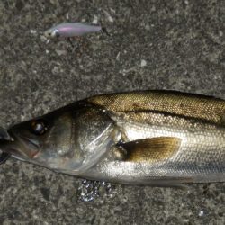 交通事故⁇再現氏は‼ゼロ~、、、